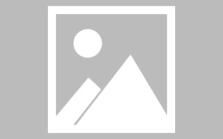 保山新区景区网站建设（in art criticism,you must assume）
